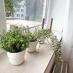 Megha Living - 2 Appartments Mit Kueche - Zentral דירה ממינגן