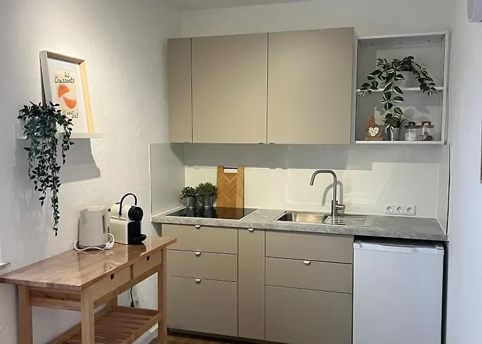 Megha Living - 2 Appartments Mit Kueche - Zentral Μέμμινγκεν