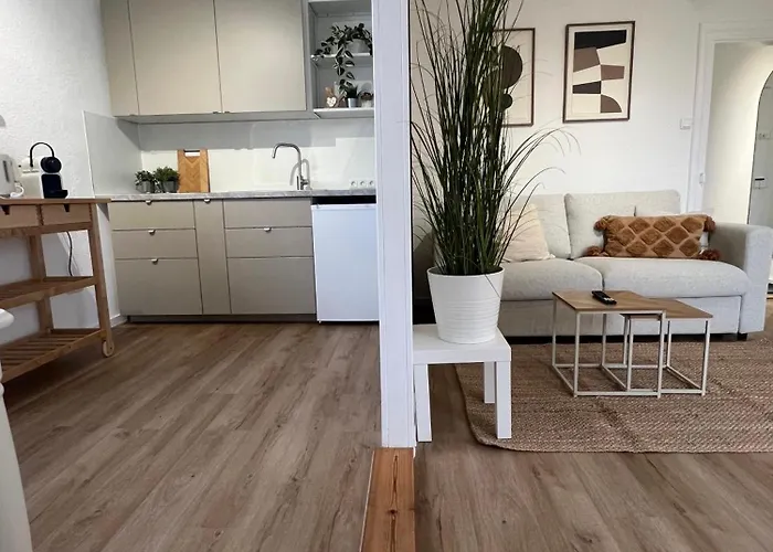 Megha Living - 2 Appartments Mit Kueche - Zentral Μέμμινγκεν