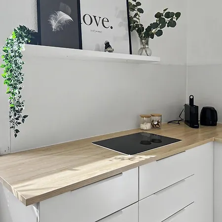 Megha Living - 2 Appartments Mit Kueche - Zentral *