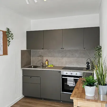 Megha Living - 2 Appartments Mit Kueche - Zentral *
