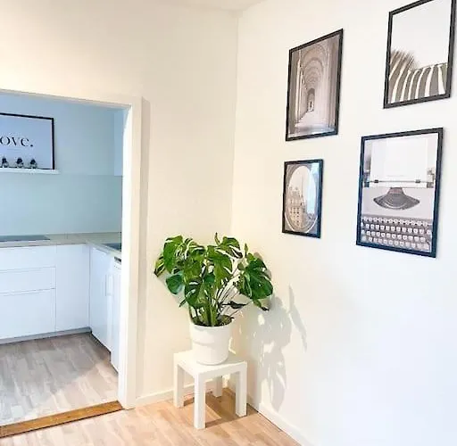 Megha Living - 2 Appartments Mit Kueche - Zentral شقة *