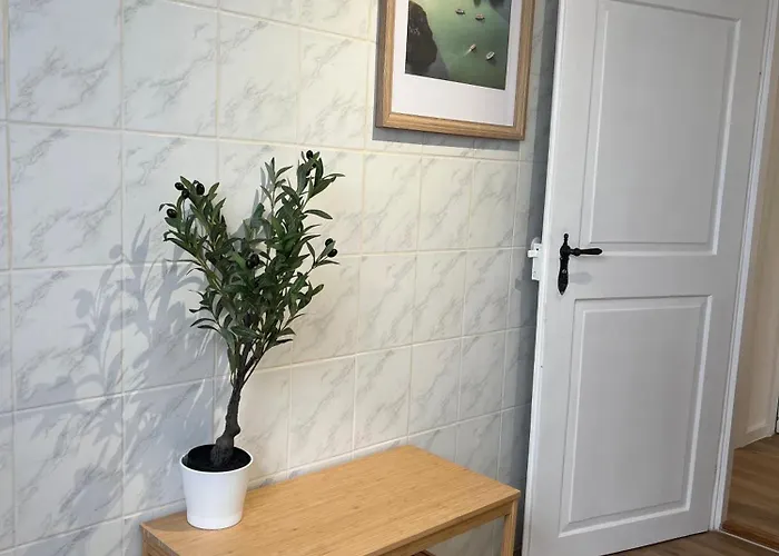 شقة Megha Living - 2 Appartments Mit Kueche - Zentral *
